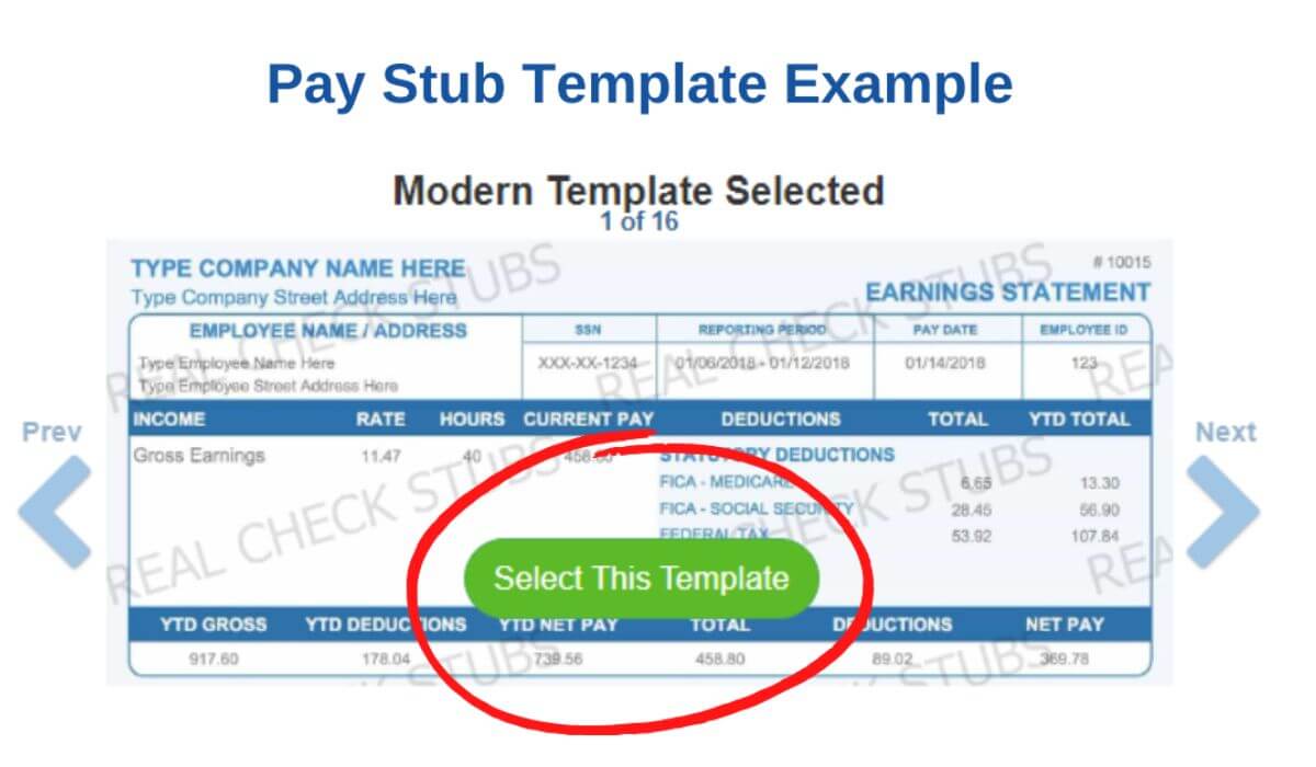 Choose Your Pay Stub Template